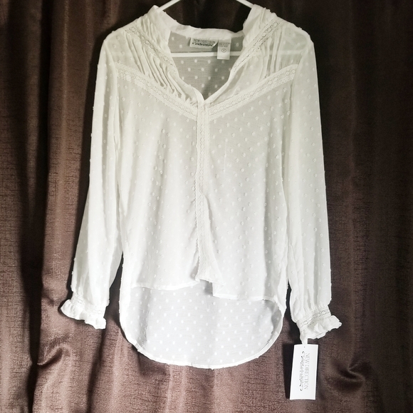 NWT, New Direction Sheer Dot Textured Blouse - Picture 1 of 10